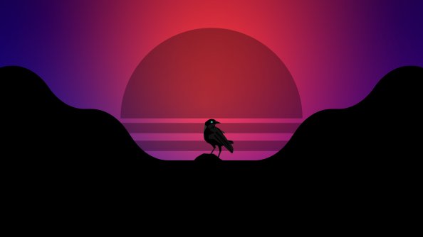 Bird Synthwave 4k