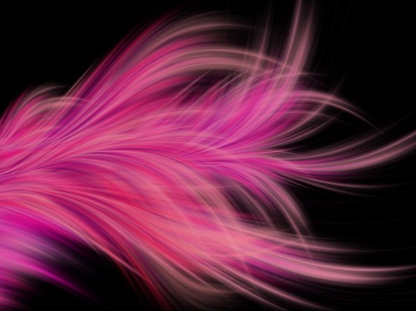 Pink Fractal Abstract Feather