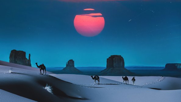 Camel Desert Outrun