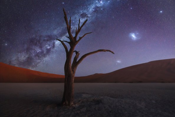 Tree Desert Milky Way 4k