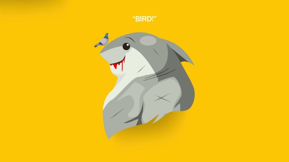 Shark Suicide Squad 5k