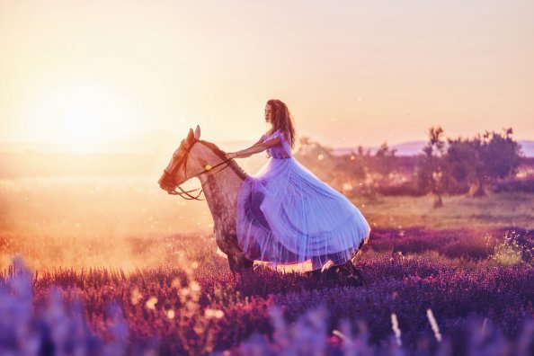 Women With Horse Fantasy Field 4k