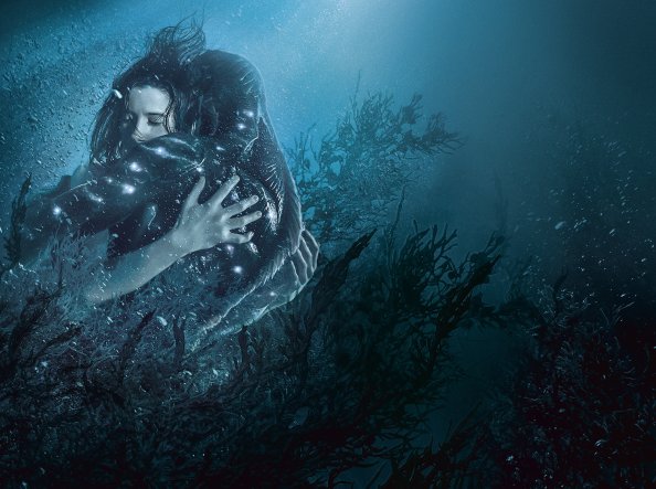 The Shape Of Water 5k