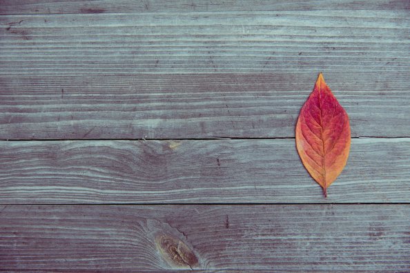 Leaf On Wood Plank Table