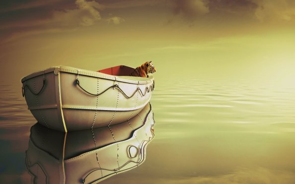 Life Of Pi Boat