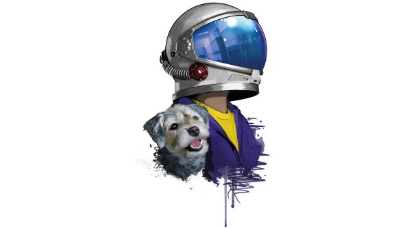 Rider Helmet Dog Minimal 5k