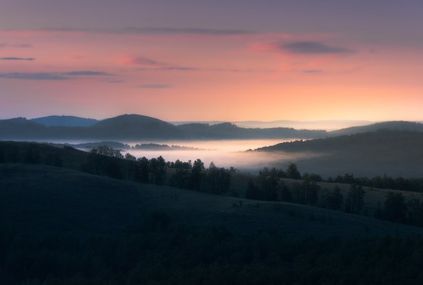 Landscape With Trees And Fog 5k