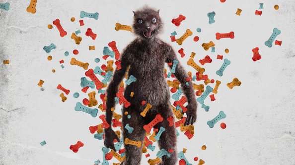 Weasel The Suicide Squad 8k