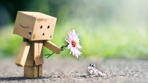 Danbo With Flower