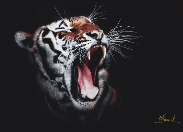 Tiger Roar