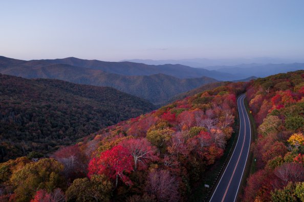 Road Through Autumn Forest And Trees