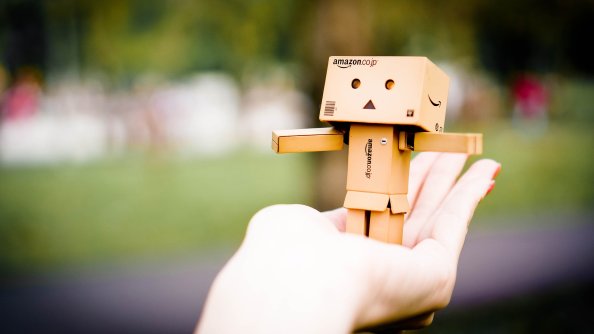 Amazon Danbo