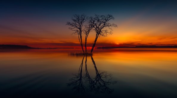 Horizon Lake Nature Reflection Sunset Tree