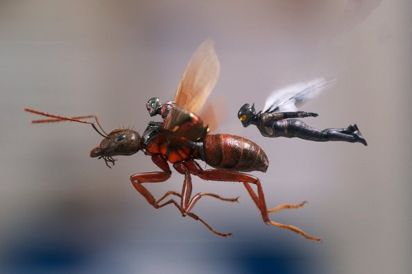 Ant Man And The Wasp