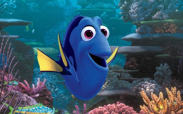 Dory