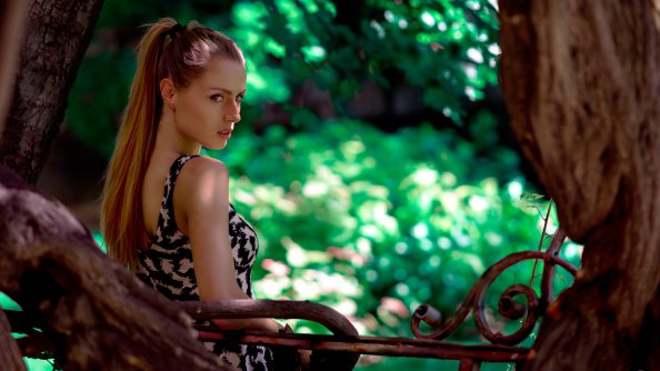 Long Hairs Pony Sitting Looking Back 4k