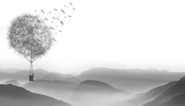 Dandelion Air Balloon