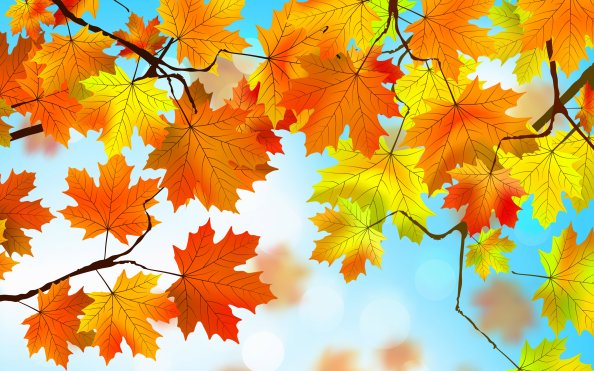 Autumn Leaves HD