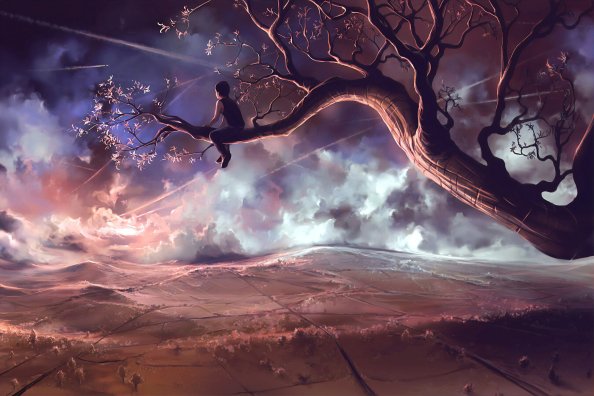 Boy Sitting On Tree Branch Dreamy 4k