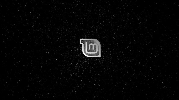 Linux Mint Black And White Logo 4k