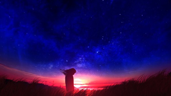 Anime Girl In Field Silhouette Sunset