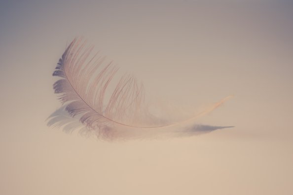 Feather Soft 5k