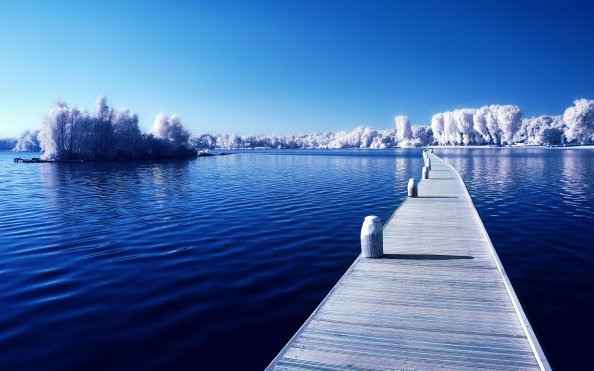 Perfect Winter