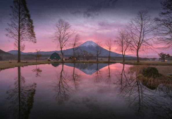 Mount Fuji Reflection