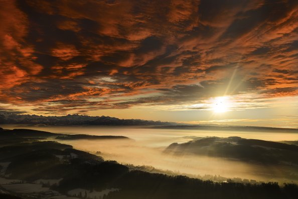 Uetliberg Sunset 5k