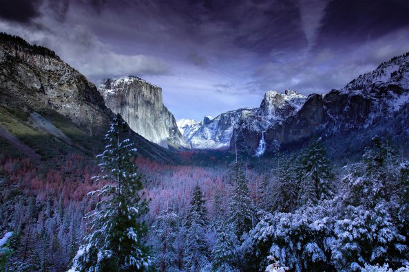 Snow Forests Yosemite Scenery 4k