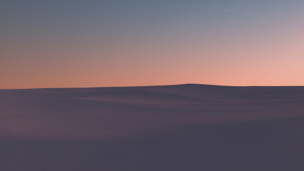 Early Evening Color Presence