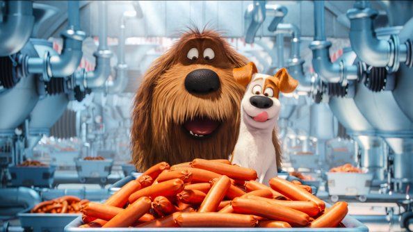 The Secrete Life of Pets Animated Movie