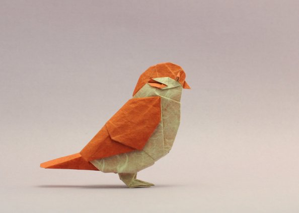 Bird Origami