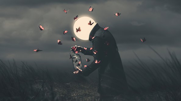 The Attraction Of Light 5k