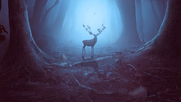 Into The Woods Reindeer 4k