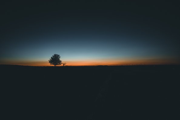 Daybreak Tree Landscape 5k