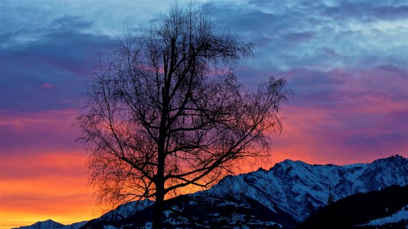Evening Sunrise Morning Beautiful Nature