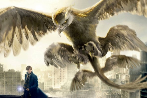 Thunderbird Fantastic Beasts And Where To Find Them