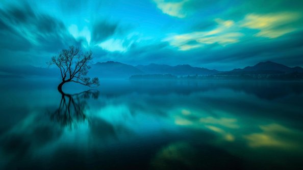 Beautiful Nature Photography
