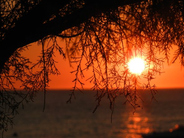 Nature Sunset Ocean Lying Sun 4k