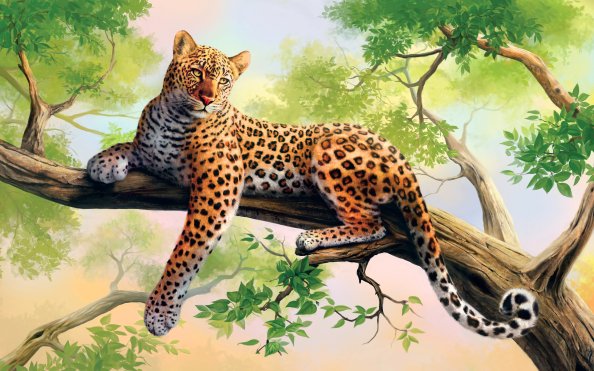 Leopard Art HD