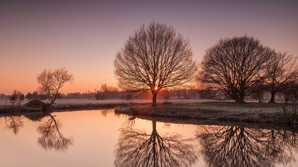 Light Dawn