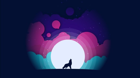 Fox Minimal 10k