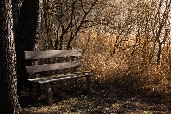 Bench Bank Seat 5k