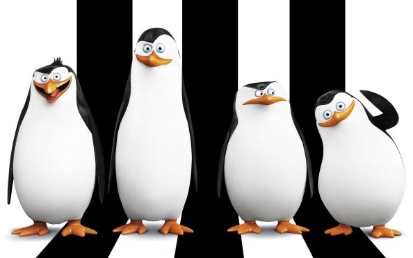 Penguins Of Madagascar Movie HD Desktop