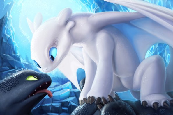Toothless And Light Fury 4K Art
