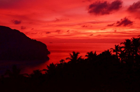 Sunset Sky Tree Dusk Landscape