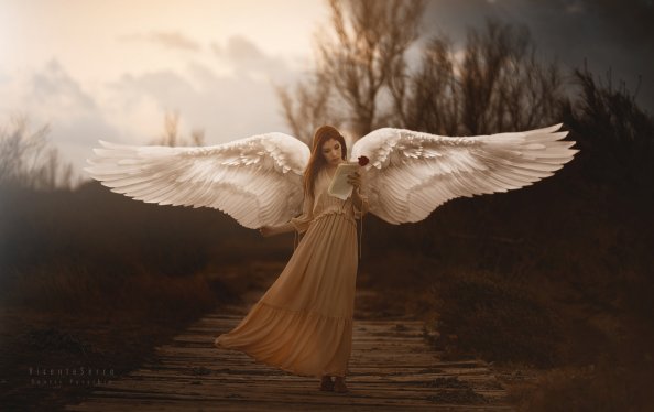 Girl With Wings Angel