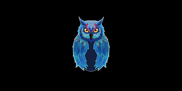 Owl Dark 5k