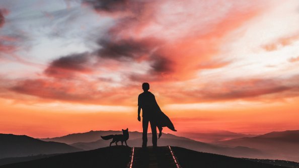 The Little Prince Silhouette